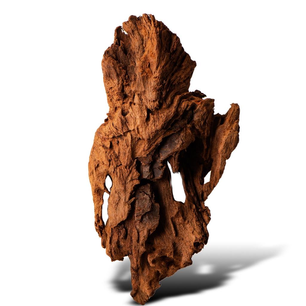 Driftwood Root Natural Xxs 10Cm Freshwater Plant Aquarium