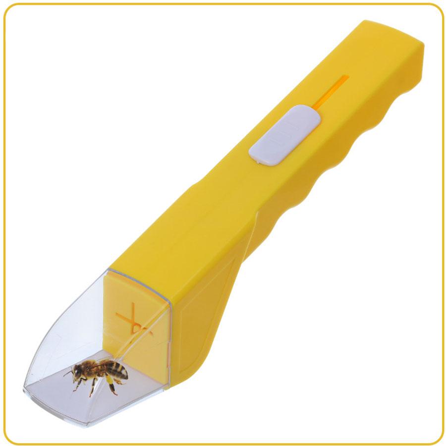 Handheld Insect Catcher for Outdoor Exploration and Bug Observation Box