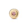 Pandora Reflexions Simple Round Ring Charm Clip Women Jewelry Gold 767891NPO