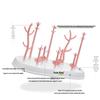 Tree-Shaped Multifunctional Baby Bottle Drying Rack – PP Material