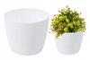 Magnolia Jumper Flowerpot, White Plastic Cover, 11 Cm
