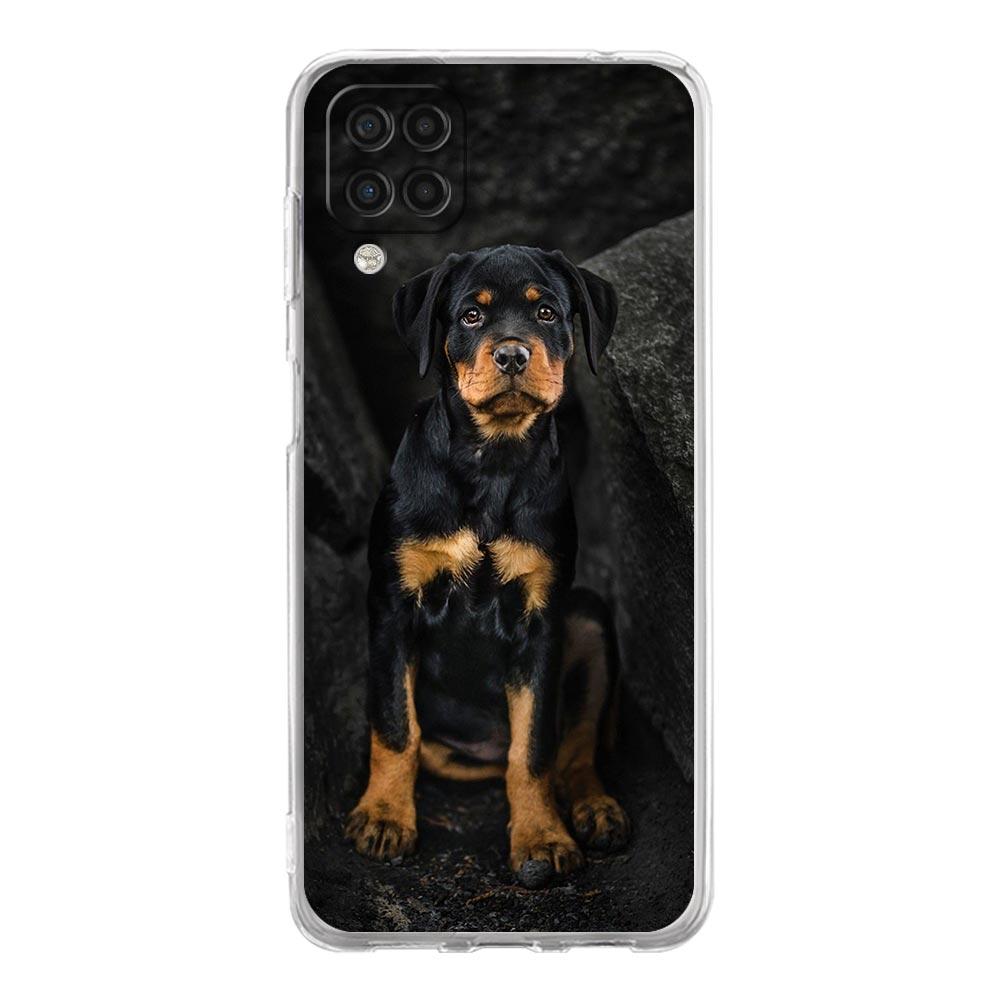 Rottweiler Dog Phone Case For Samsung Galaxy A51 A71 A21S A12 A11 A31 A41 A01 A03S A22 A13 A33 A73 A53 A52 A32 5G A23 Soft Cover