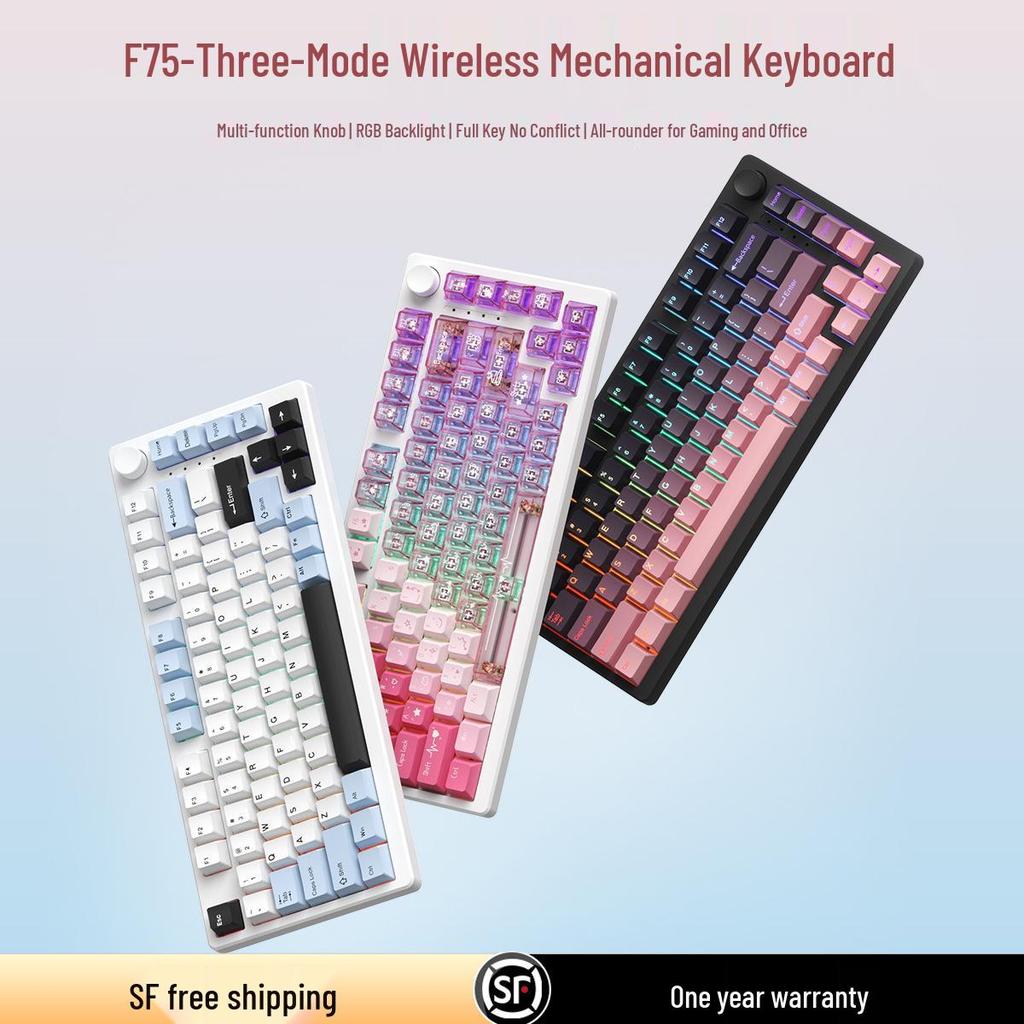 F75PRO Wireless 3-Mode RGB Hot-Swappable Mechanical Keyboard - 75% Layout for Gaming & Office