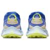 New Nike Pegasus Trail 3 Gore Tex Sprite Women's DC8794-400