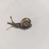 Copper-Plated Snail Incense Holder: Creative Micro-Carved Animal Ornament and Tea Pet