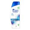 German Head & Shoulders Anti-Dandruff Shampoo For Men 250Ml