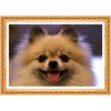 Diy Round Full Diamond Painting Cross Stitch Household Decoration Dog Diamond Embroidery Painting