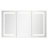 Lighted Medicine Cabinet with Tempered Glass Mirror 100x60 Cm Wall-Mounted