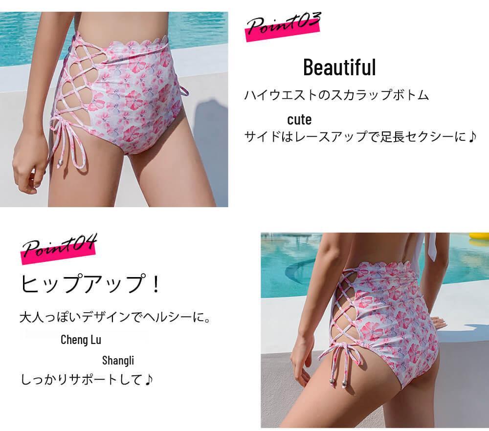 Export Japan Sexy Lace Split Swimsuit for Seaside Holidays
