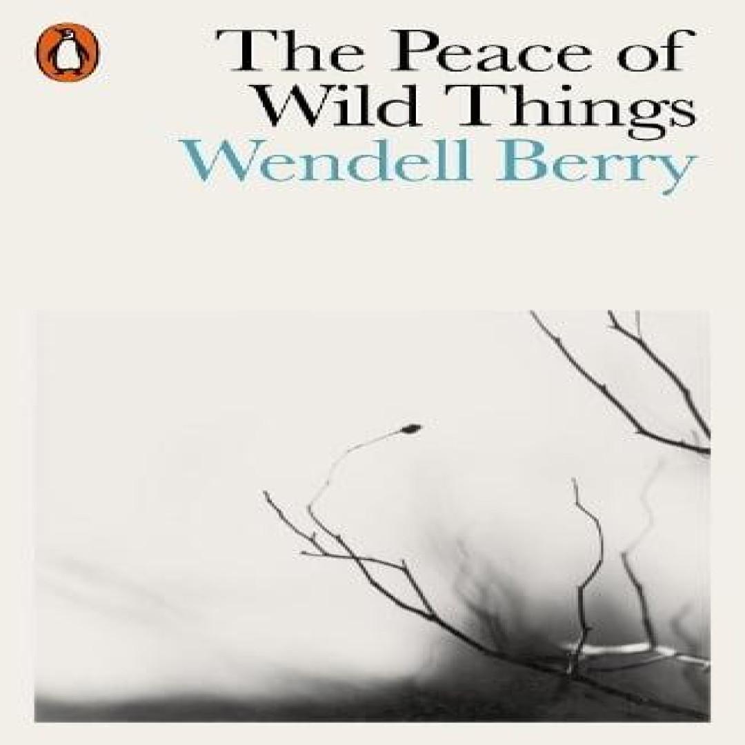 Die Ruhe der wilden Dinge von Wendell Berry Taschenbuch 9780141987125