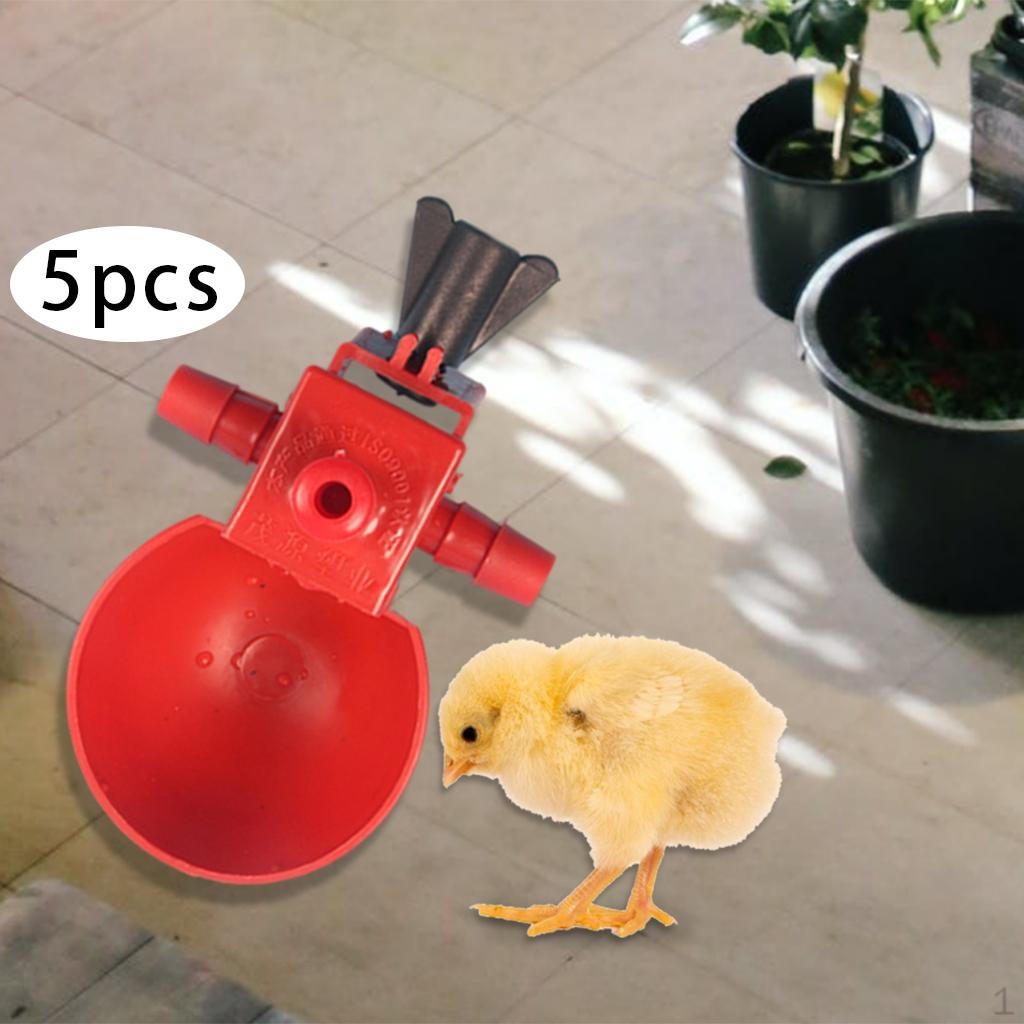 5Pcs Poultry Water Drinking Cups Automatic Drinker for Chicken Quail Birds