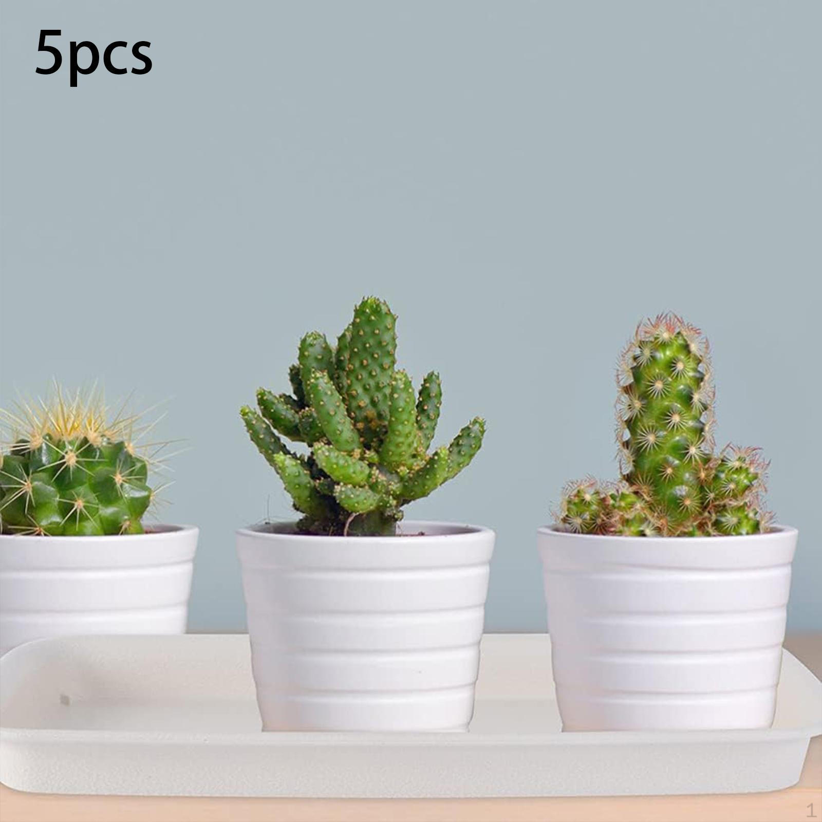 

5 шт. Блюдця для рослин. Підноси. Горщик для квітів у приміщенні