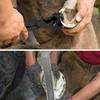 Hufzangen Hufschneidewerkzeug für Ponys Ergonomisches Multifunktions-Nagelhandflächen-Set für die Pferdepflege und das Scheren