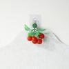 Creative Fake Fruit Skewers Magnets - Mini 5-Piece Set for Home Decor & Props