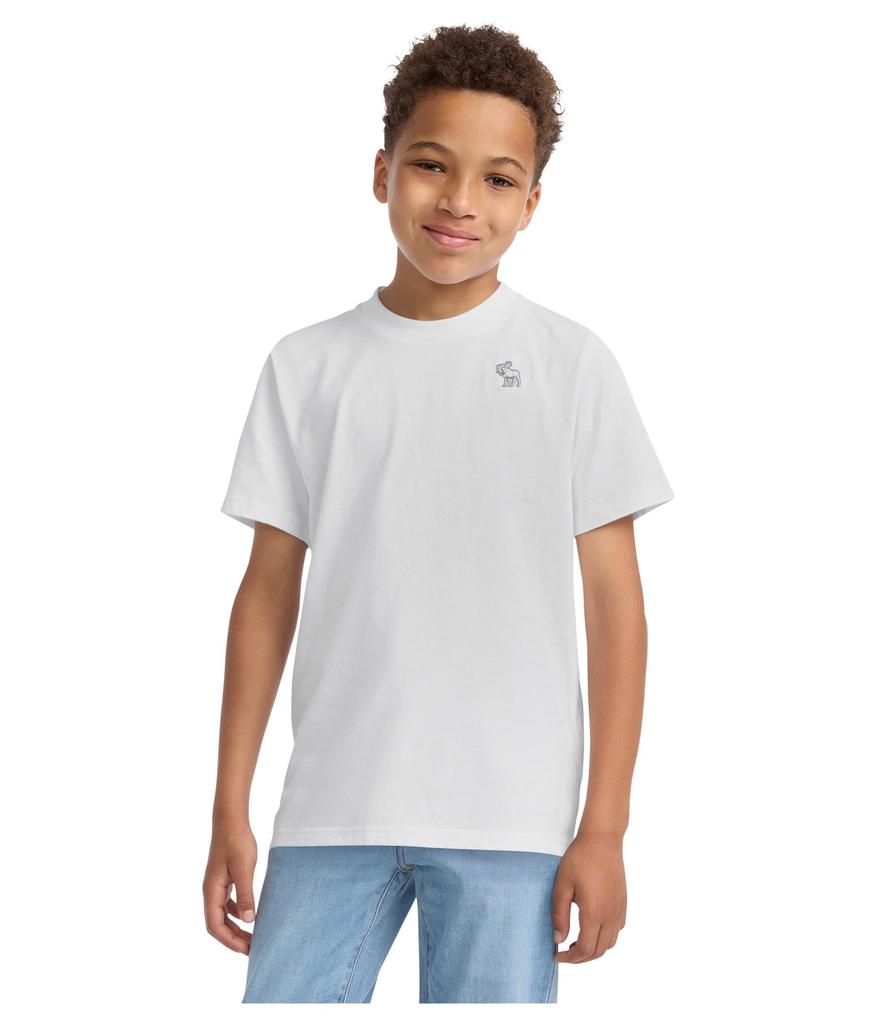 [Abercrombie & Fitch] AFBSHORT SLEEVE ESSENTIAL TEE 93AF15W1T WHITE (WHT)