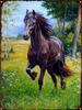 Running Horse Tin Sign Plaque Metal Vintage Wild Animal Shabby Chic Home Decoration Poster Restaurant Plate Iron Paintings Sign