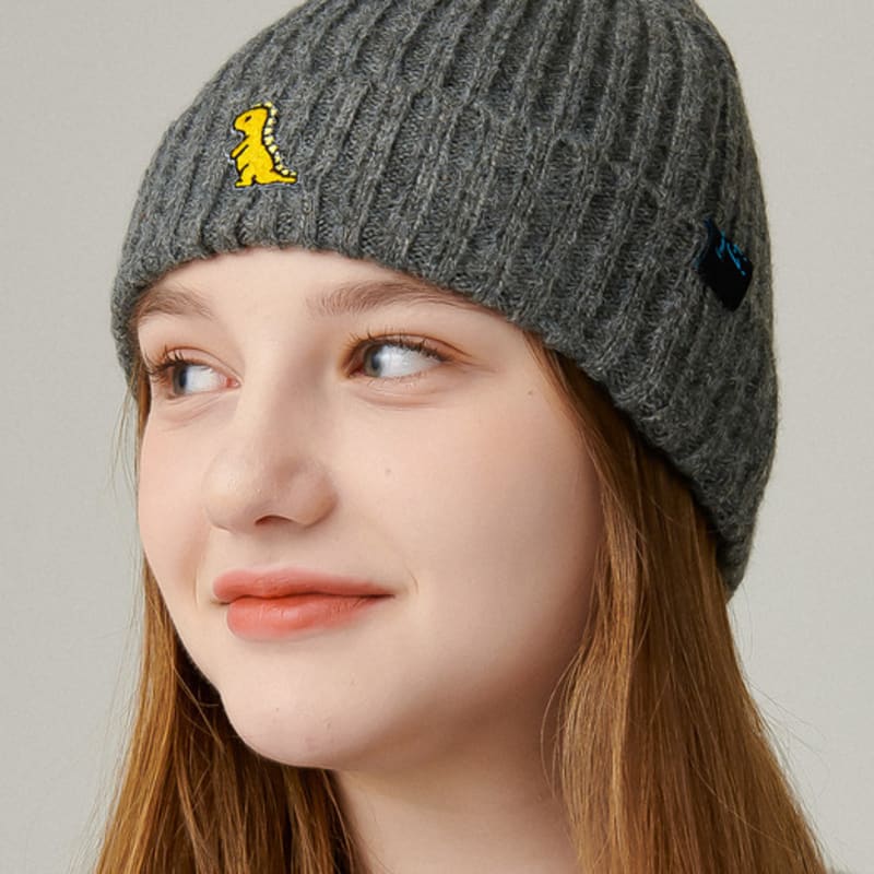 

Шапка-бини UNI.J Динозавр Ia165 [Серый] single