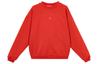 Therma FIT Standard Issue Basketball Small Logo Collection Outdoor Fleece Lined Loose Fit Crew Neck Sweatshirt IM5902-657
