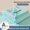 Xinjiang Cotton Machine Washable Summer Quilt