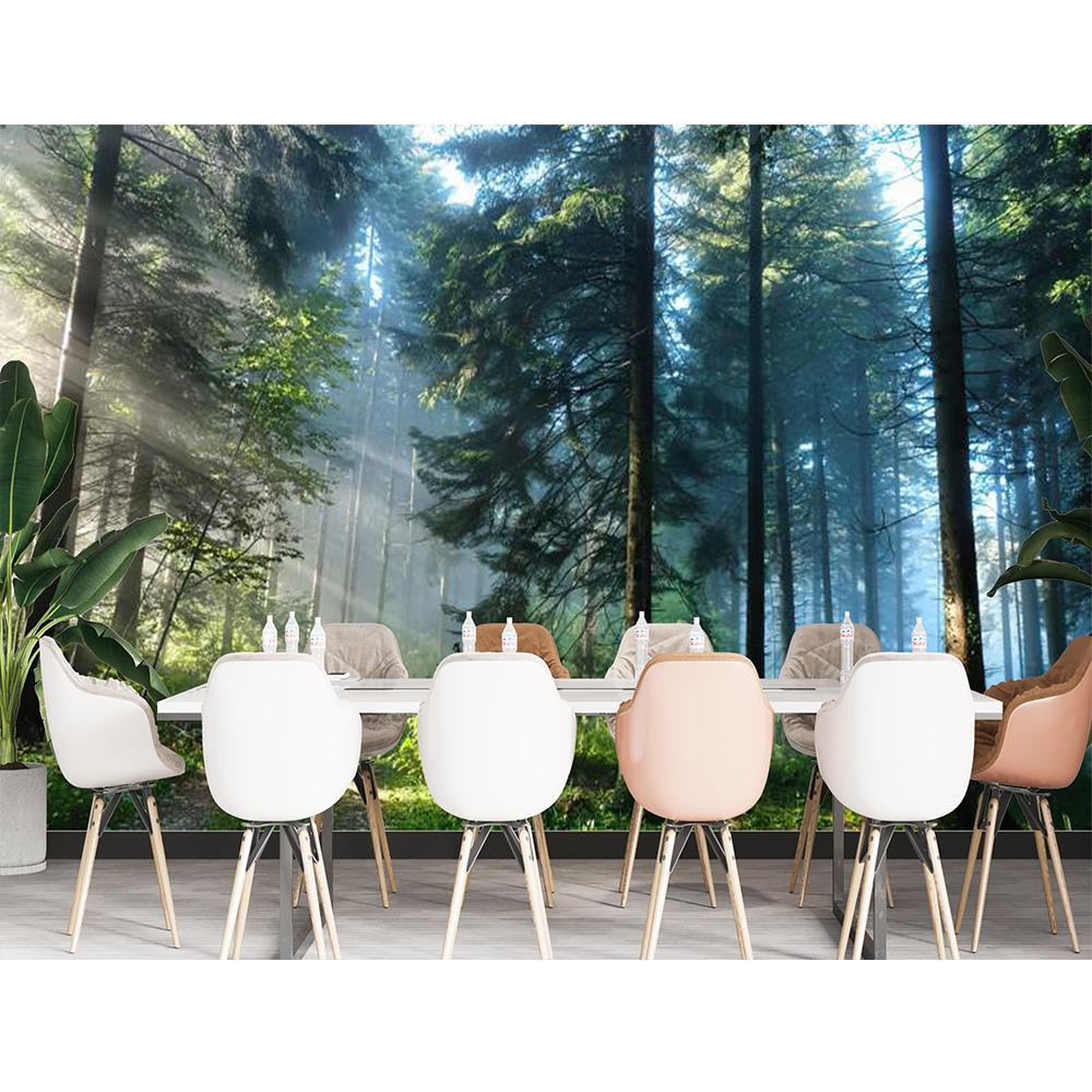 Morning Forest 3D Fototapeta Krajina Tapeta Obývací pokoj Ložnice Fototapeta Home Decor
