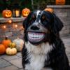 Anti-Bite Funny Grinning Dog Muzzle Anti-Scavenge Dog Photo Mouth Cover Party Costume