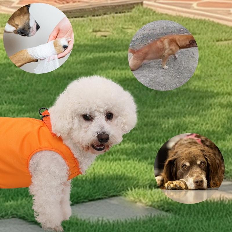 Dog Pet Assist Belt Disabled Dog Postoperative Rehabilitation Elderly Dog Assist Belt Assist Going Out Assist Belt S оранжевый