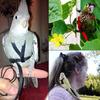 1Pcs Adjustable Parrot Training Harness Anti-Bite Flying Traction Rope Sturdy Strap for Outdoor Walking Flight