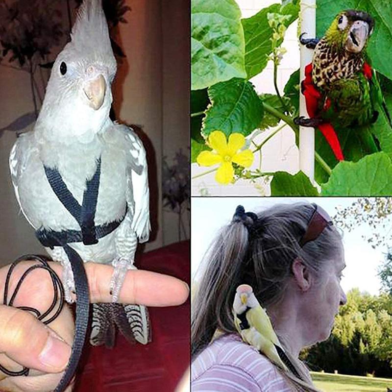 1Pcs Adjustable Parrot Training Harness Anti-Bite Flying Traction Rope Sturdy Strap for Outdoor Walking Flight