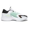 NIKE Freak Shoes Zoom Freak 4 GS GS Basketball 25 White/Green
