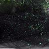 Shiny gilded sequined sheer chiffon fabric suitable for wedding dresses formal gowns and DIY handmade clothing fabrics