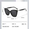Large Frame Cat Eye Sunglasses Trendy Glasses Street Sunglasses