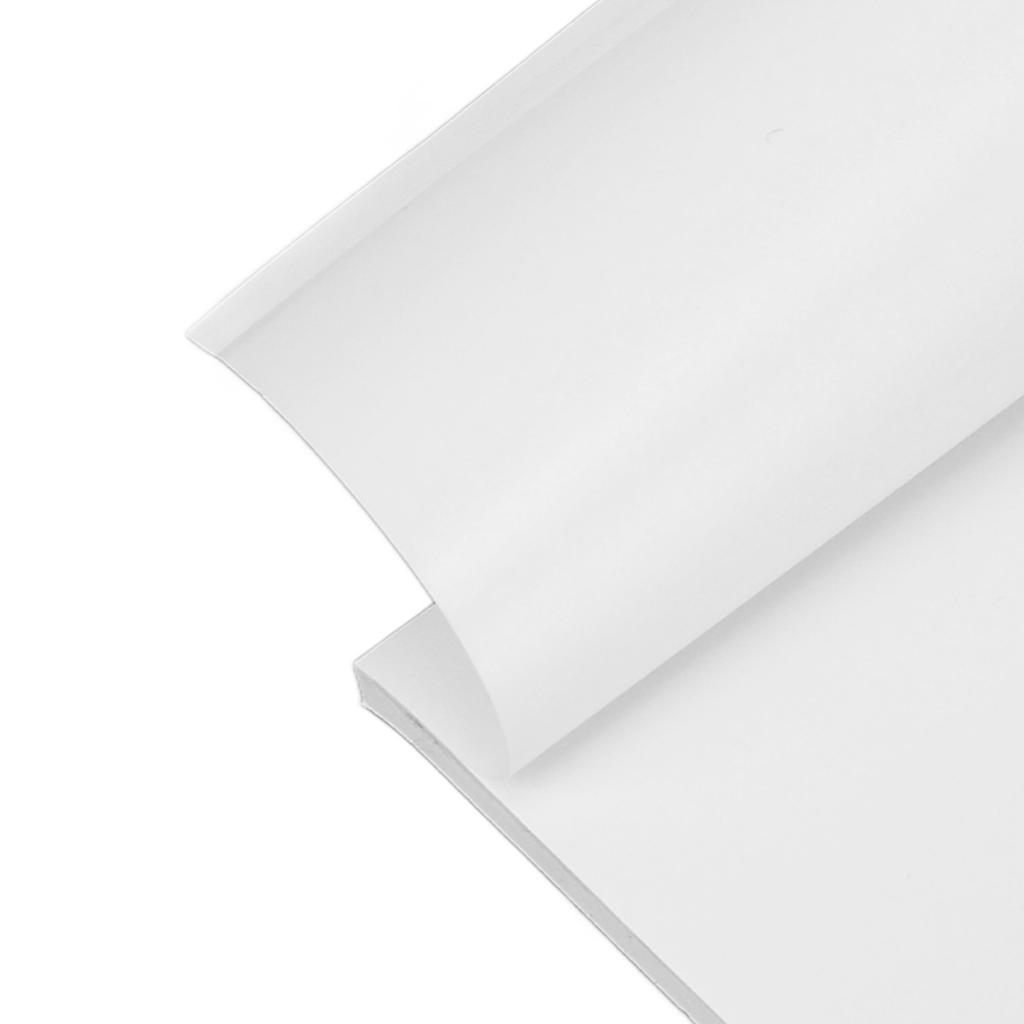 2Pcs Lint Sticker Pet Hair Remover Portable Lint Remover Pocket Size Paper for Home Clothes