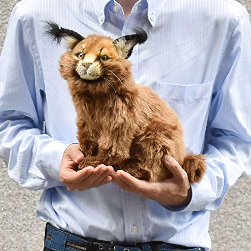 BH7047 HANSA Caracal 28