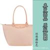 Longxiang Zhou Tragetasche Ein Schulter Crossbody Mommy Wasserdichte Nylon-Tragetasche Bestickt Handtasche Pendlertasche