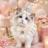 Pearl Bow Pet Birthday Hat Diamond Detail Pet Party Outfit  Birthday Party