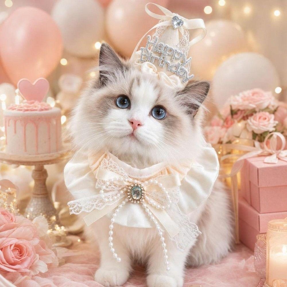 Pearl Bow Pet Birthday Hat Diamond Detail Pet Party Outfit  Birthday Party