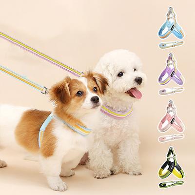 Buntes Hunde-Geschirr Gepolstert Atmungsaktives Netz Haustier-Geschirr Verstellbar Regenbogen Welpen-Geschirr für Kleine Mittlere Hunde Outdoor-Spaziergänge