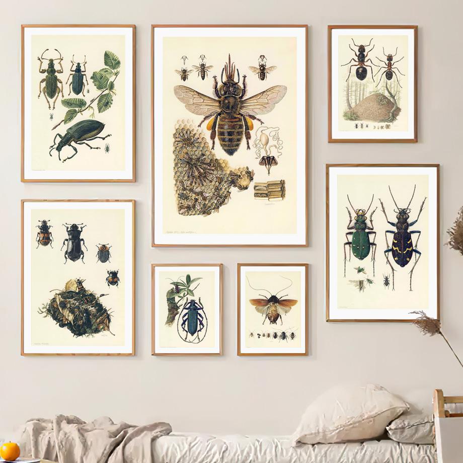 Vintage Beetle Insect Poster Specimen Retro Illustration Wall Art Canvas Painting Posters and Prints Picture for Living Room No Frame