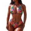1011 New Multi-color Printed Neck Strap Halter European and American Sexy Split Bikini Swimsuit