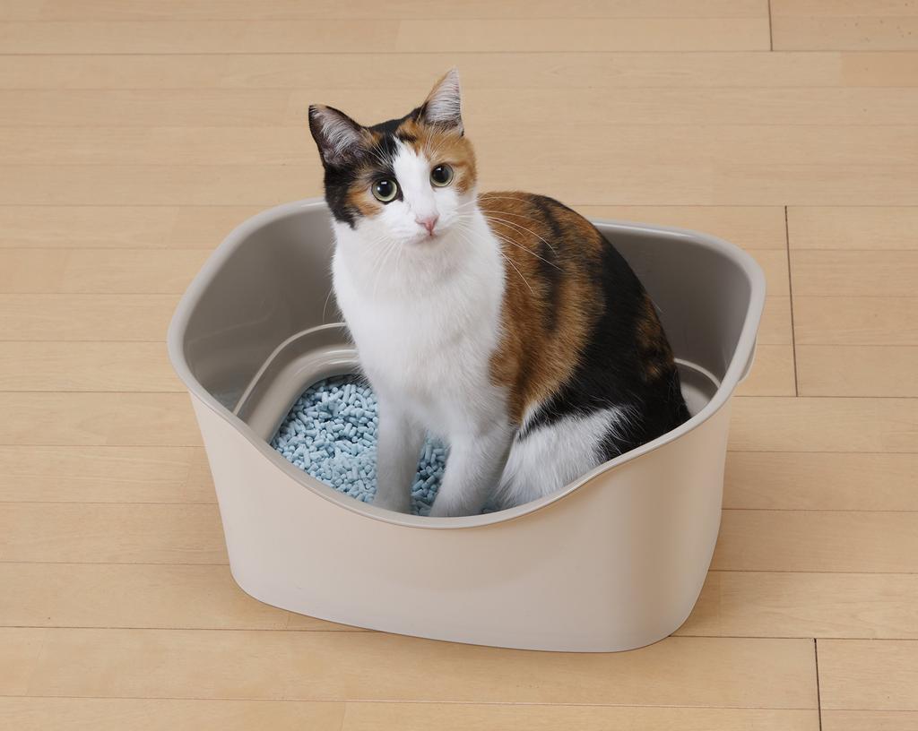 Bonbi Easy Cat Toilet W Block Ivory