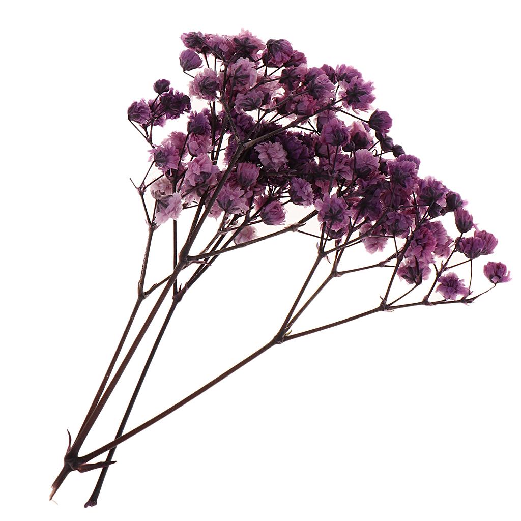 Pressed Leaves Dried Flower Embellishments for Scrapbooking Jewelry Making Resin Crafts Small Natural Floral Art