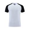 Men's Ice Silk Quick-Dry Crew Neck Sports Tee - Casual, Elastic, Short Sleeve Running Shirt