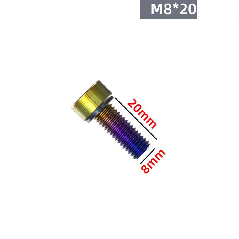 

Classy Style Motorcycle Screws Stainless Steel Screws M8x20