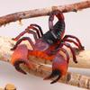 17Cm Realistic Insect Animal Model Toys Ant Spider Scorpion Beetle Dragonfly Simulation Figures For Kid Educational Learning Toy