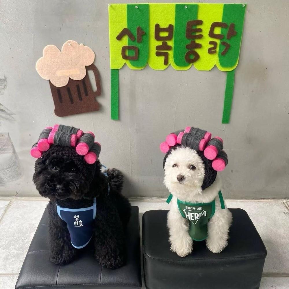 Curly Hair Curly Hair Dog Hats Soft Pet Headgear Cat Hairdressing Costume Photography