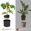 Plant Grow Bags Breathable Felt Polypropylene Webbing Plant Grow Pots Garden Planting Containers with Handles