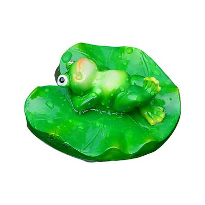 Peces y mascotas acuáticas – Decoración de peceras