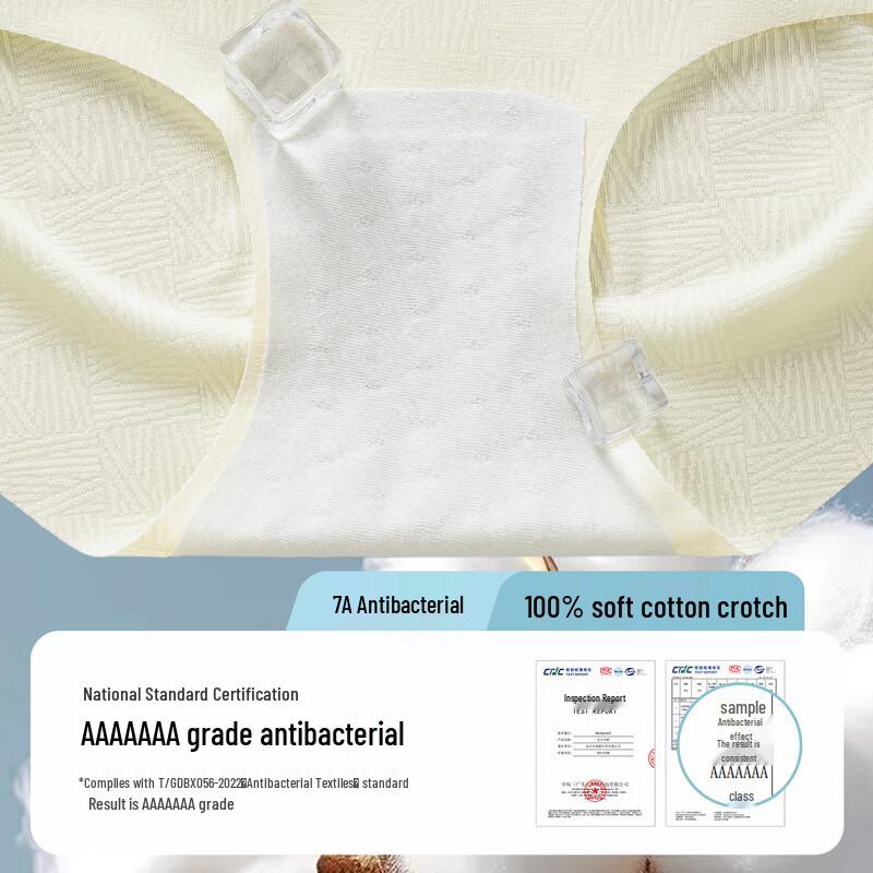 MaoRen Women's Ice Silk Seamless Cool-Touch Briefs (4-Pack)