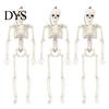 Detailed Skull And Bone Structures Realistic Halloween Skeleton Figure, 40cm Posable Joints Hanging Decoration, Weather Resistant Ornaments