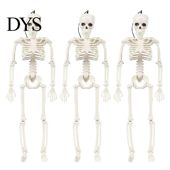 Detailed Skull And Bone Structures Realistic Halloween Skeleton Figure, 40cm Posable Joints Hanging Decoration, Weather Resistant Ornaments